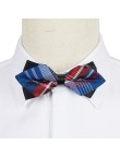 Gentleman's Diamond Pointed Plaid Bow Tie