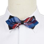 Gentleman's Diamond Pointed Plaid Bow Tie