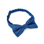 Men's Blue Woven Jacquard Small Square Texture Bow Tie