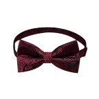Luxury Men's Pre-tied Silk Jacquard Bow Tie