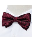 Luxury Men's Pre-tied Silk Jacquard Bow Tie