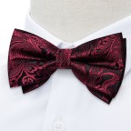 Luxury Men's Pre-tied Silk Jacquard Bow Tie