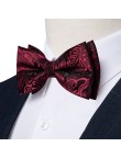 Luxury Men's Pre-tied Silk Jacquard Bow Tie