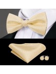 High quality men's gold luxury bow tie