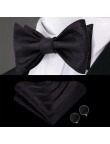 Fashion Striped Silk Self-Tie Bow Tie
