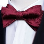 Red Embroidered Silk Men's Self-Tie Bow Tie