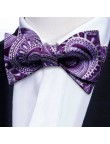 High-end purple men's silk self-tie bow tie