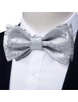 Luxurious silver-grey men's silk self-tie bow tie