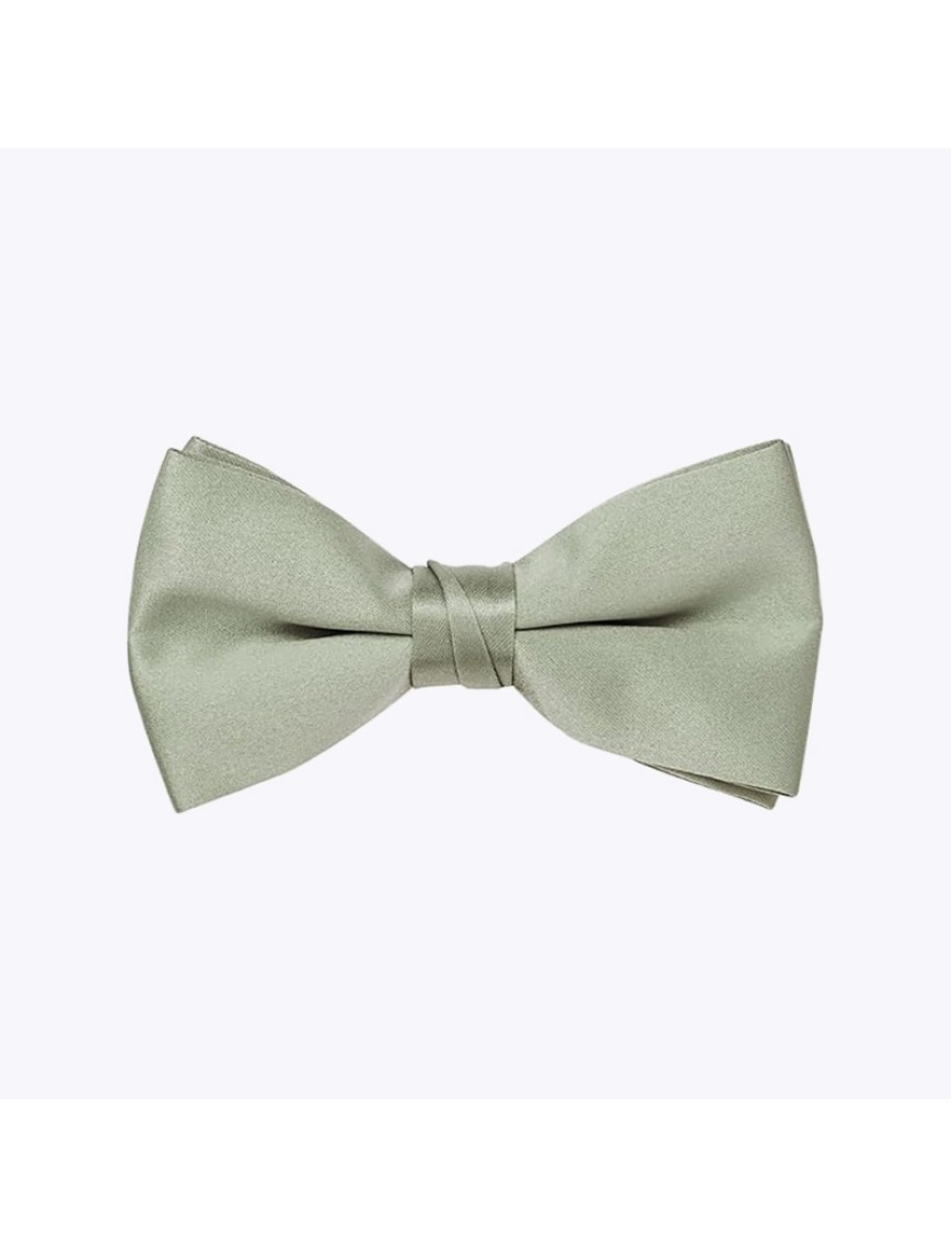 Adjustable Satin Polyester Silk Creative Print Bow Tie