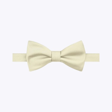 Soft polyester printed bow tie