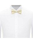 Soft polyester printed bow tie
