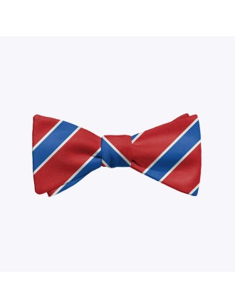 Classic blue and red striped men's polyester bow tie