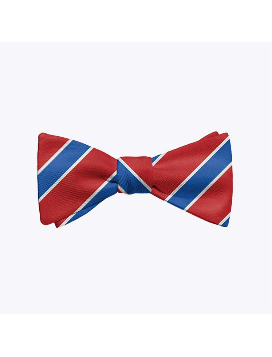 Classic blue and red striped men's polyester bow tie