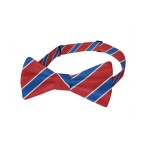 Classic blue and red striped men's polyester bow tie