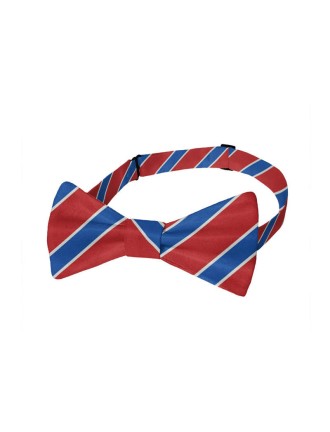Classic blue and red striped men's polyester bow tie