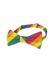 High Quality Rainbow Men's Bow Tie