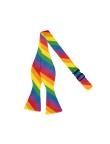 High Quality Rainbow Men's Bow Tie
