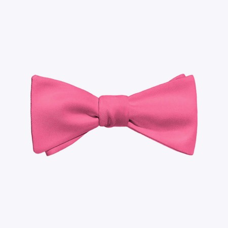 Luxury Men's Adjustable Satin Plain Bow Tie