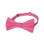 Luxury Men's Adjustable Satin Plain Bow Tie