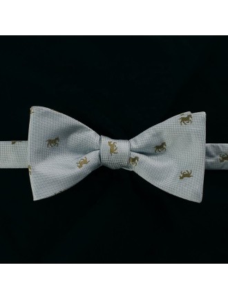 Gray blue men's tie and self tie