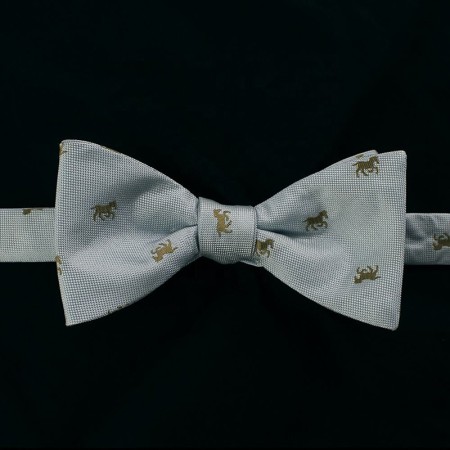 Gray blue men's tie and self tie