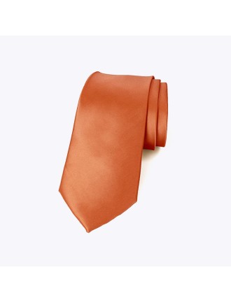 Fashionable men's colorful tie suit
