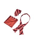 High Quality Printed American Flag Tie