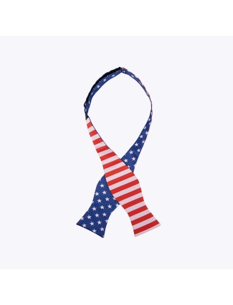 Independence Day American Flag Men's Tie