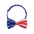 Independence Day American Flag Men's Tie