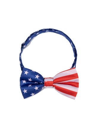 Independence Day American Flag Men's Tie
