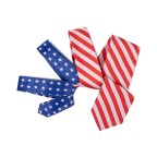 Independence Day American Flag Men's Tie