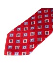 Red Classic Party Wedding Tie