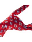Red Classic Party Wedding Tie