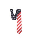 American stars and stripes print tie