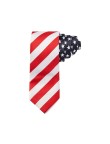 American stars and stripes print tie