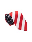 American stars and stripes print tie