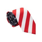 American stars and stripes print tie