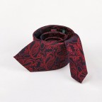 Fashionable men's paisley jacquard tie