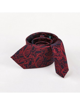 Fashionable men's paisley jacquard tie