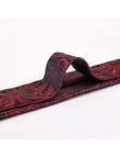 Fashionable men's paisley jacquard tie
