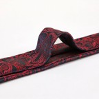 Fashionable men's paisley jacquard tie