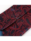 Fashionable men's paisley jacquard tie