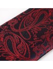 Fashionable men's paisley jacquard tie