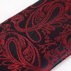 Fashionable men's paisley jacquard tie